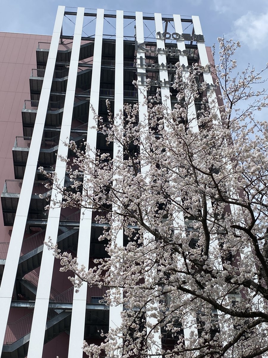 kurume_it's tweet photo. #さくらの日 #桜 #久留米工大 https://t.co/1KzcX8i8Fk