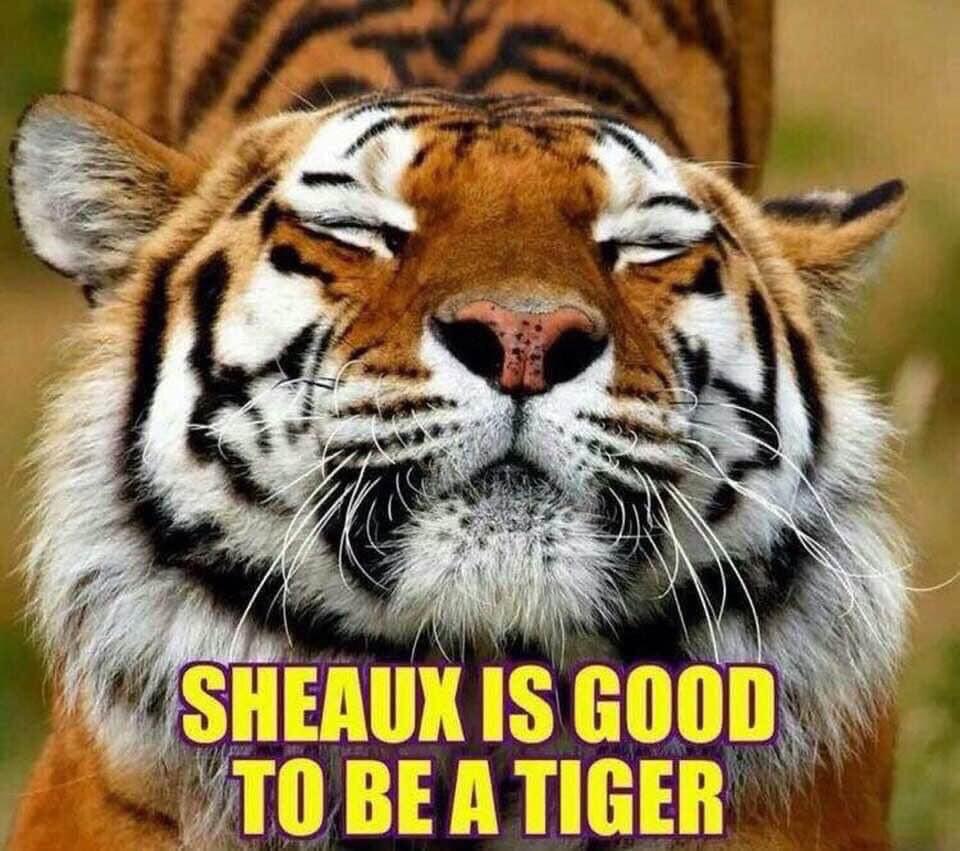 MelaninNurseBae's tweet photo. #LSULadyTigers did that…Headed to #TheFinal4 #MarchMadness https://t.co/1naedxSgpS