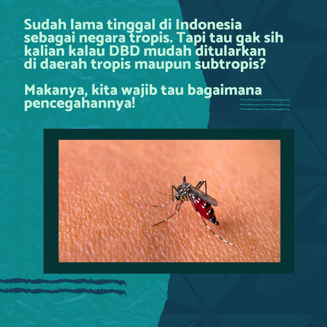 Semangat Pagi Senin, Hati - Hati ya Geas Musim Hujan Banyak Genangan air Mengakibatkan Penyakit Demam Berdarah 🙏

#AwasDigigitNyamuk
Semua Lawan DBD