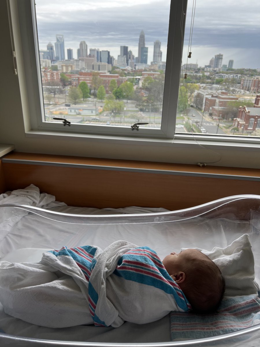 Michael Graff tweet media