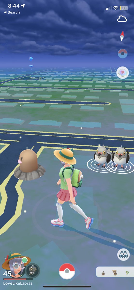 LoveLikeLapis's tweet photo. Today is my birthday and I was just thinking @PokemonGoApp should let you open extra or double gifts for your birthday. 

Also, here’s a picture of two Pidoves being the the bestest of friends #PokemonGO https://t.co/516nOepqBd