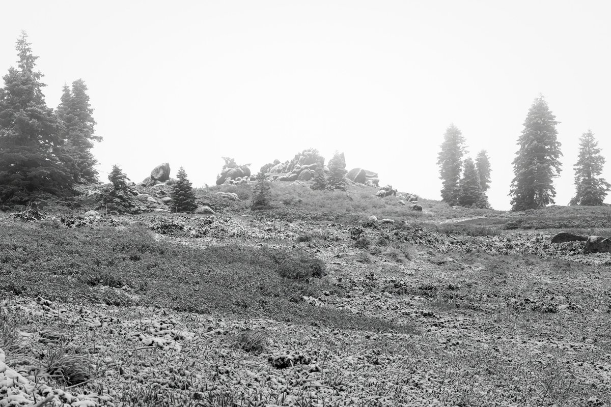 MarkHeathering3's tweet photo. Taken in the Siskiyou Mountains after an unexpected June snow.  This area is south of the Mt. Ashland Ski Area along the Pacific Crest Trail.

Siskiyou Mountains - Southern Oregon

#landscapephotography  #siskiyoumountains #pacificcresttrail #markheatheringtonphotography https://t.co/6lldo6is2Q