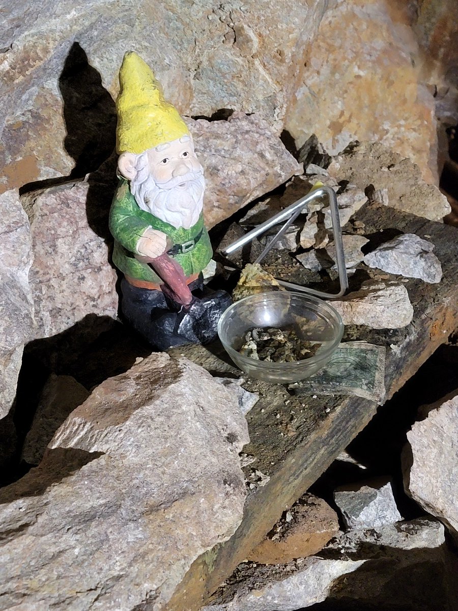 I found a #tommyknocker while investigating at the #capitalprizegoldmine today. #Nextbook #LivingCOlegends