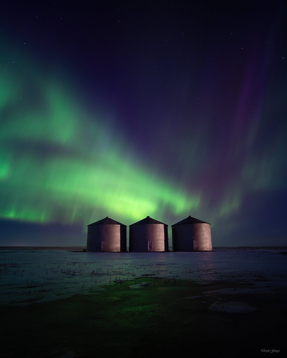 Derek Genge tweet media