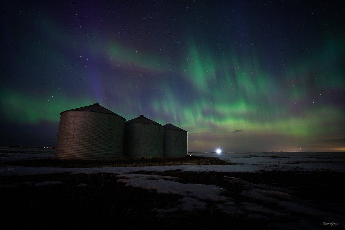 Derek Genge tweet media