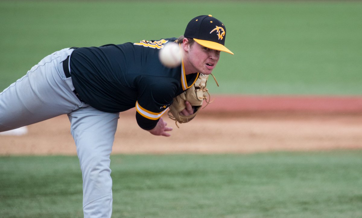 Adelphi Baseball tweet media