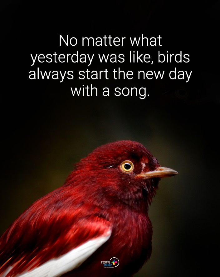 IdealnyTrend tweet picture