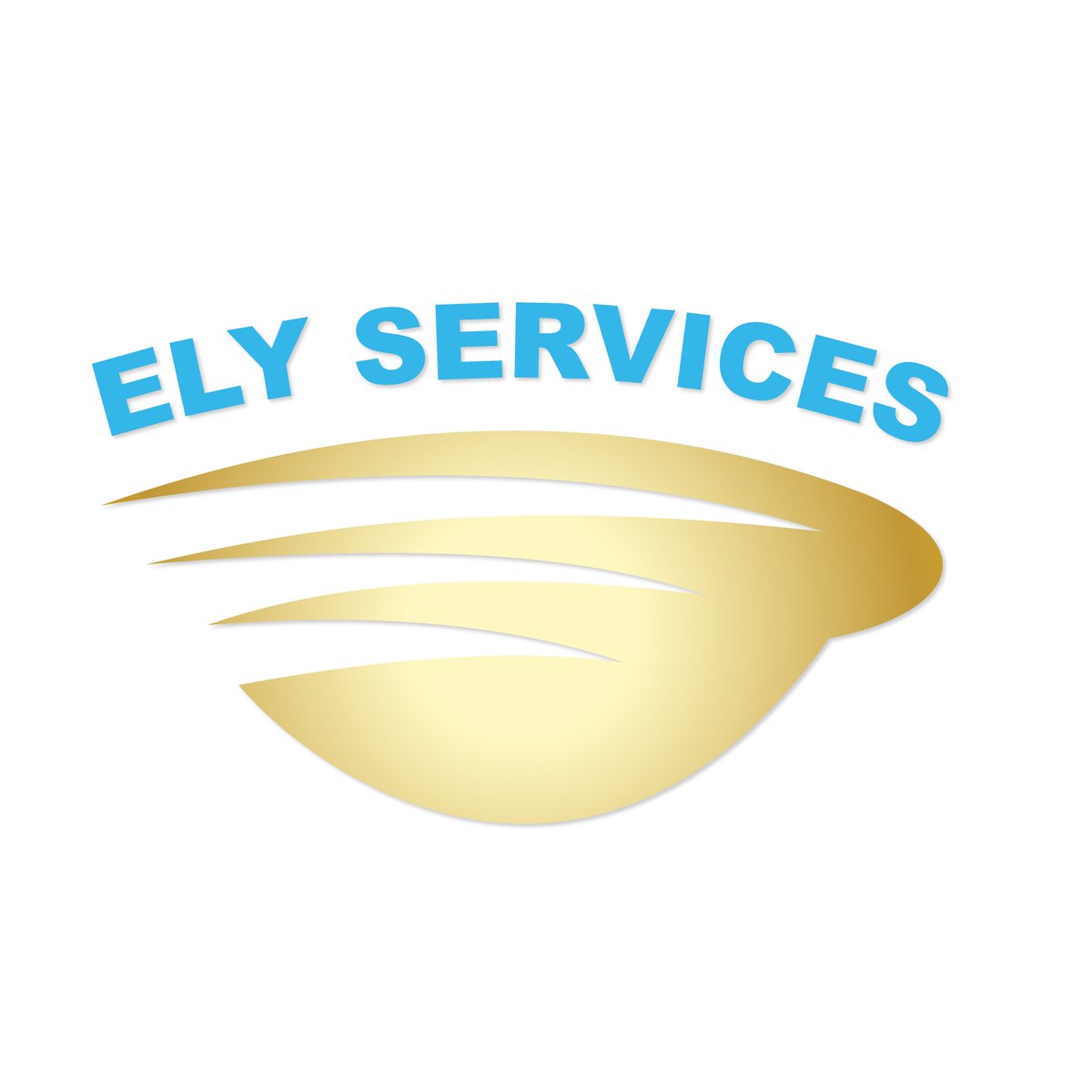 elyservices_'s tweet image. linkedin.com/company/servic…