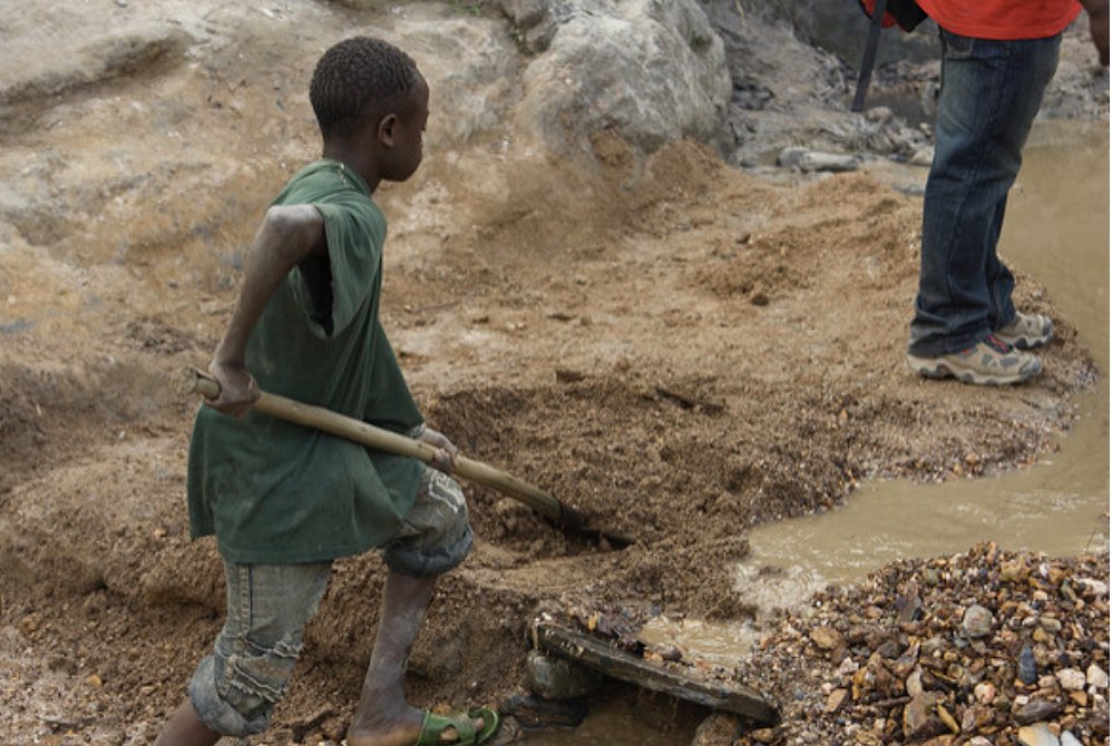 Ash Carolan tweet media