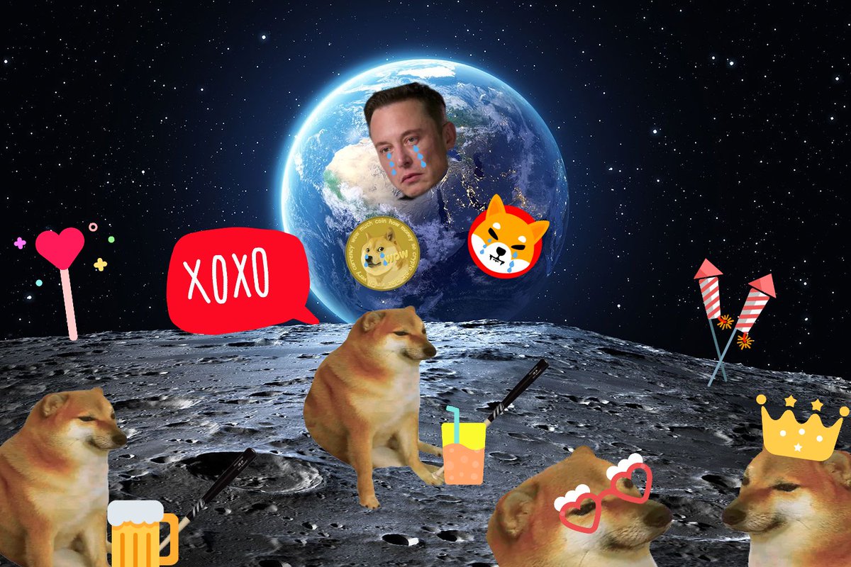 $DOBO was doing this in 2021. <a href="/elonmusk/">Elon Musk</a> can confirm. #Bonk