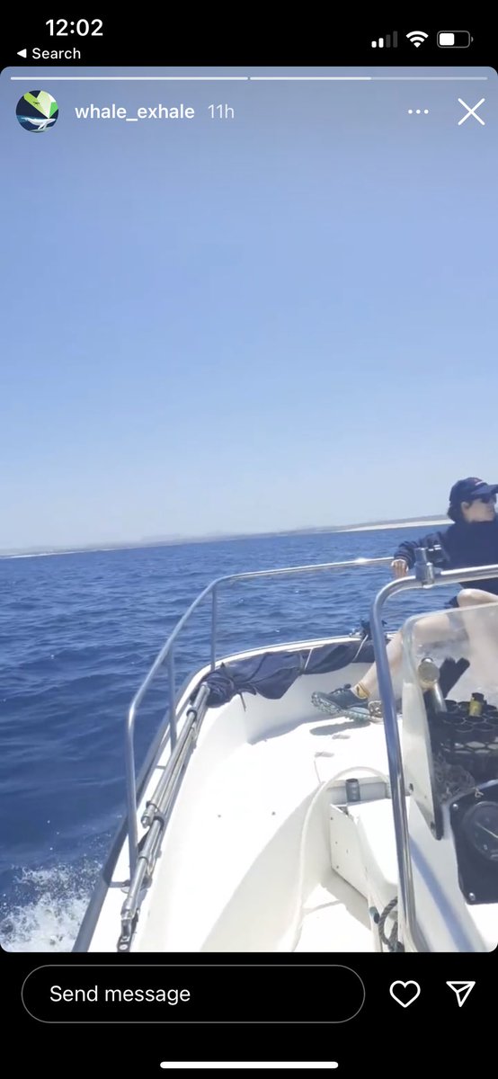 OnehealthNord's tweet image. Good luck to @HelenaGCosta of @WhaleExhale &amp;amp; @Norduniversitet as she leads our next field expedition in Cape Verde with the aim of #drone sampling #whale blow with @djimavicdrone #djimavic #whaleexhale #WomenInSTEM #marinemammals