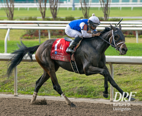 Daily Racing Form on Twitter: