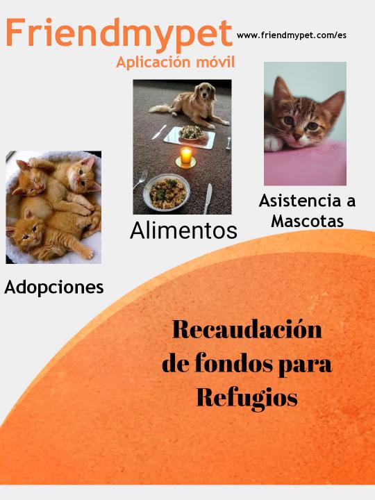 AssistancePet's tweet photo. https://t.co/BeM9FLaycL