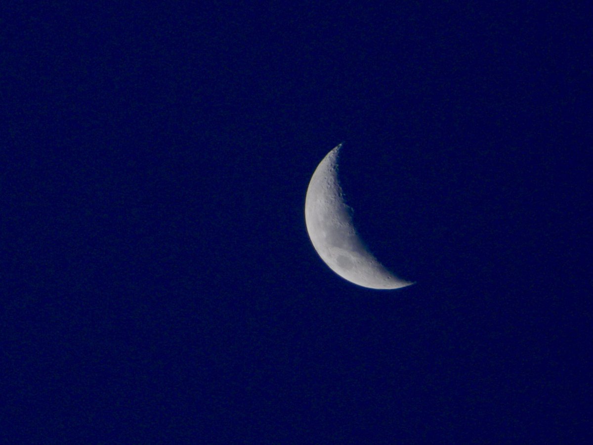 Hoy tomé esta !! Qué tal ? 📸🌘