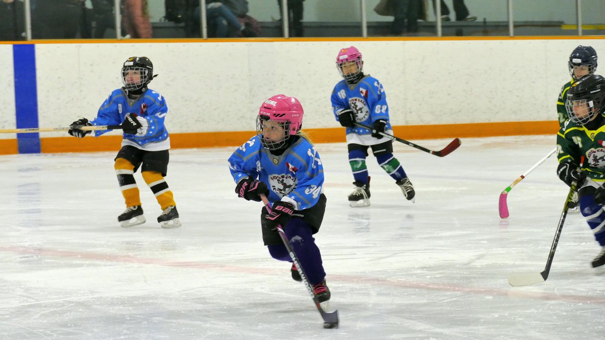 Meadowvale Hockey All Star Weekend - Day 2 - Ice Puppy players all star day.  
Thank you everyone for making this such an awesome event!!!

#mississaugahockeyleague #mississauga #meadowvale #cityofmississauga #hockey #minorleaguehockey