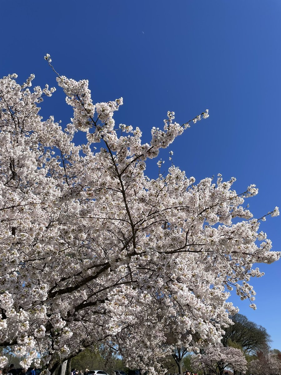 Elizabeth O'Connell tweet media