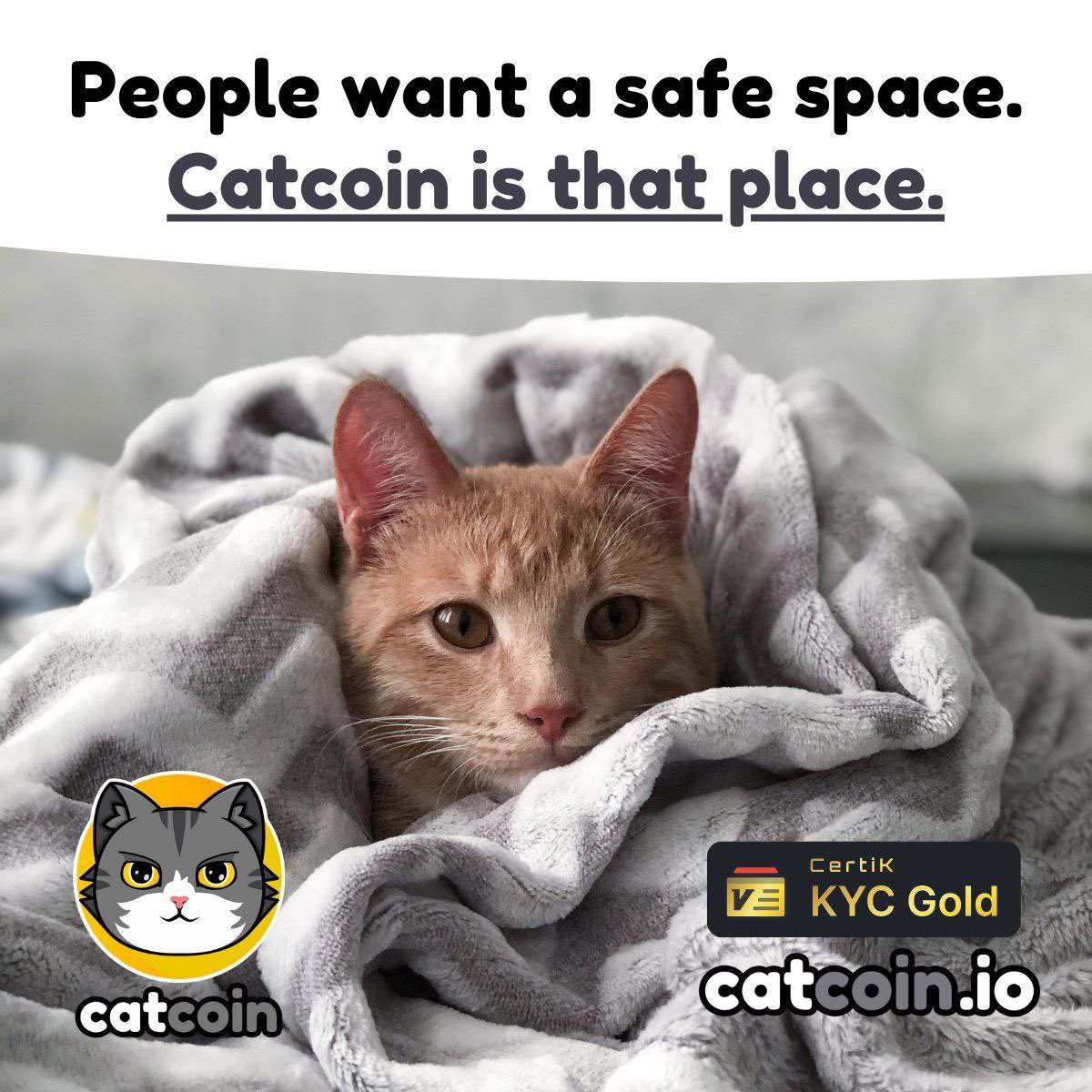 Positive_Chalie's tweet image. @officialcatcoin  #Catcoin  is always a great investment opportunity even more so at the current market cap. Come scoop up some #cats  and join our family 🔥🙏🐈