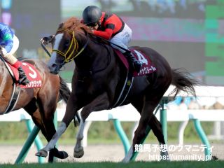 大阪杯。診断しました。
ヒシイグアス、ジャックドールなど、なかなかの好メンバーです。
惜しむらくはソーヴァリアント、プログノーシスの回避。
関東馬と高齢馬は苦戦傾向。
頑張れ、ヒシイグアス！ 