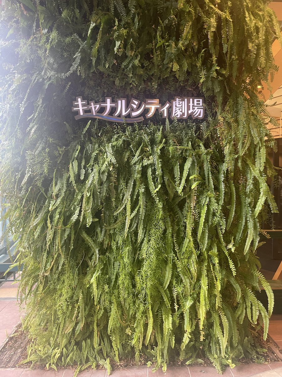 kohane0223's tweet photo. LK🦁以来3年振りの「キャナルシティ劇場」✨昨日千秋楽を迎えました😊
私にとって特別な劇場、色んな思い出が詰まった劇場に感極まった🥹

TwitterよくわからなくてInstagramばかり投稿してますが、感謝を伝えたくて久しぶりに更新💦有難うございました🫶🏻💗
#アンフィニッシュ #ダンスセレブレーション https://t.co/PsT5WSh0oo