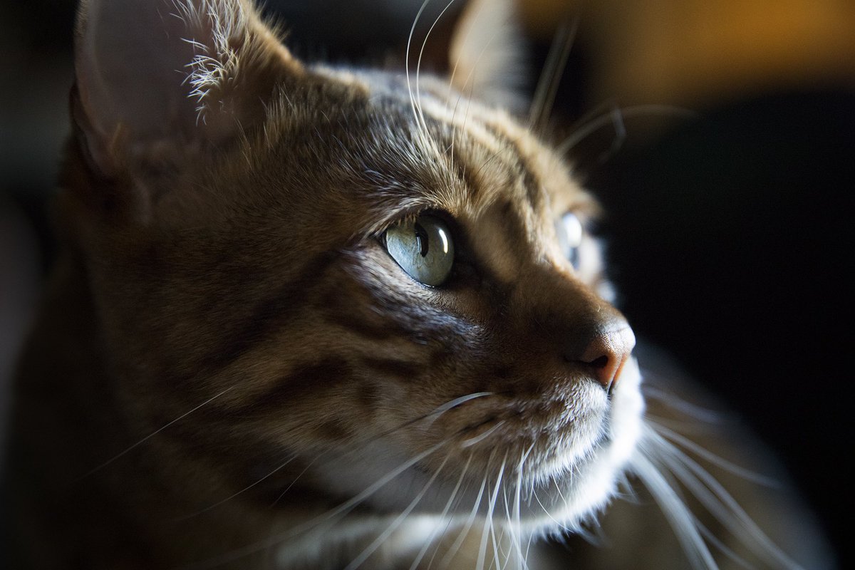 I said goodbye to my little boy today and my heart is shattered.