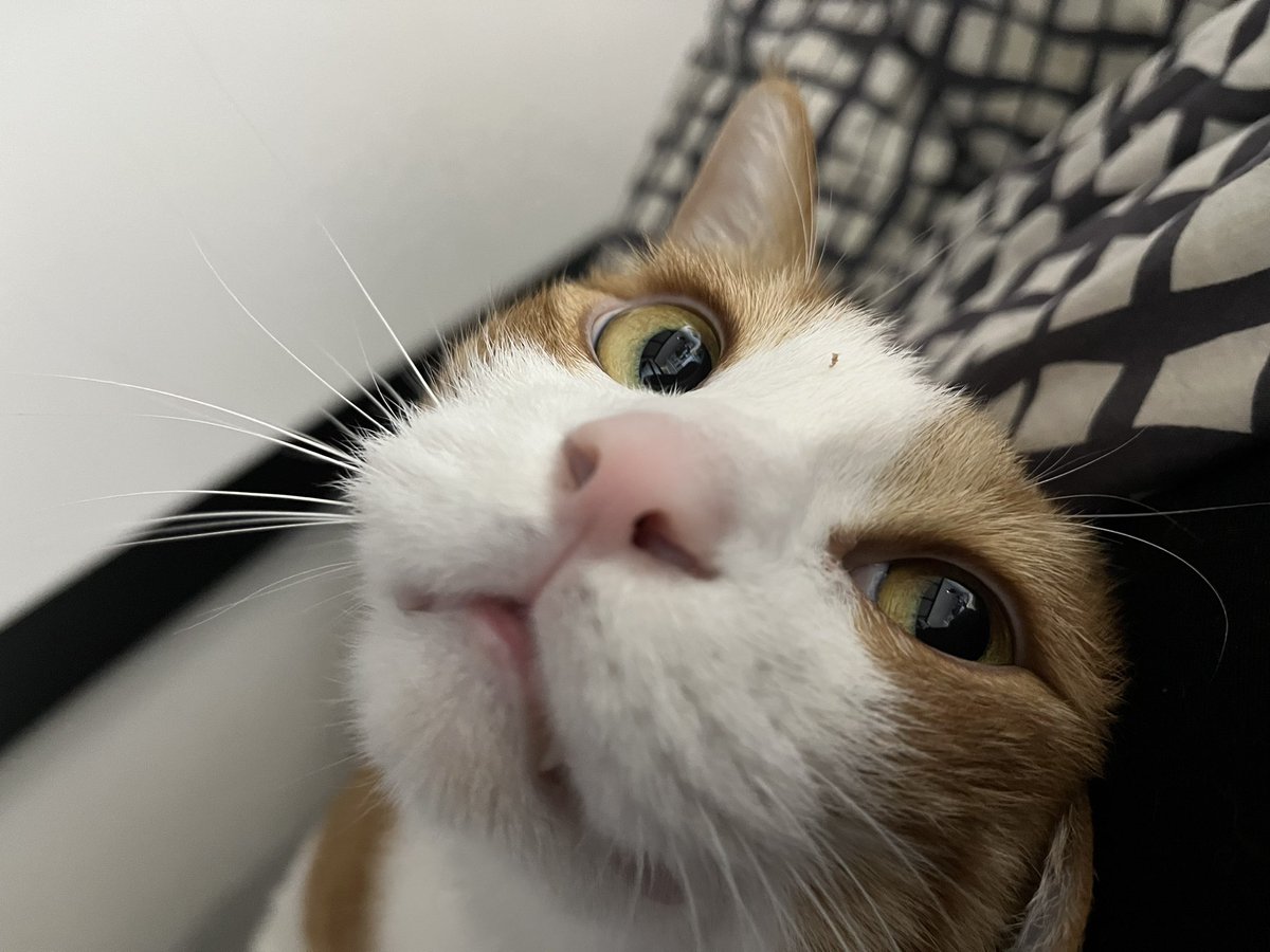 볼희의 하루(볼셰비키 혁명의 희망) (@lovethemoment30) on Twitter photo 