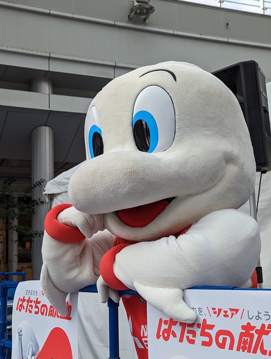 shouheyhey19840's tweet photo. ディーディーがんばろね👍

#ディーディー
#Bリーグマスコット

下のリンク押していただけましたら、ハッシュタグ付いたメッセージが作れますのでみんなで応援しましょー✨

https://t.co/1gYpZZDfo2 https://t.co/qihvUuTfTM