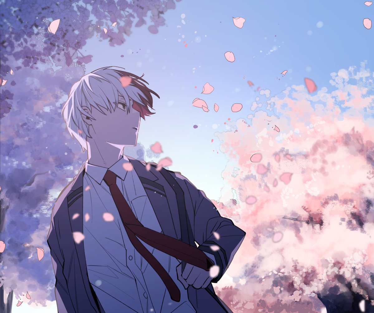 todoroki shouto 1boy male focus cherry blossoms white hair red hair split-color hair burn scar  illustration images