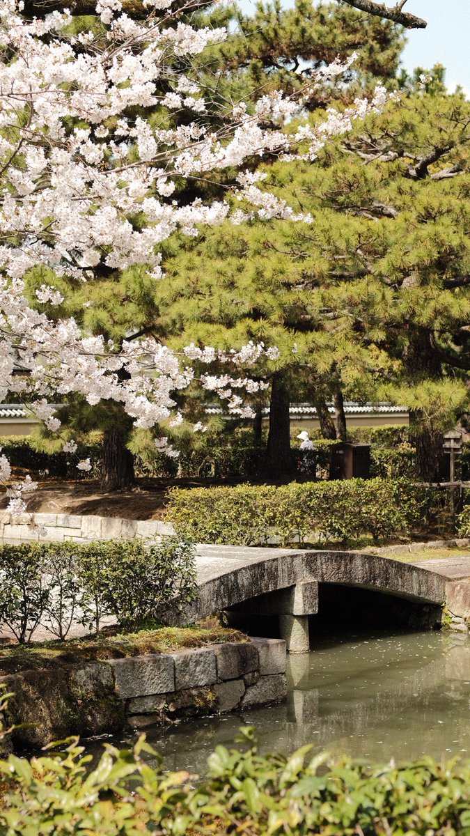 chi30022's tweet photo. 京都
健仁寺散歩

#写真好きな人と繋がりたい
#カメラ好きな人と繋がりたい
#ファインダー越しの私の世界
#キリトリセカイ https://t.co/AmZwHLEyfT