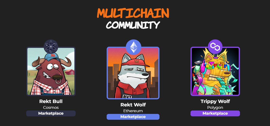 <a href="/frankdegods/">Frank</a> <a href="/rekt_gang/">Rekt Gang</a> - Launched a collection during LUNA crash, never buckled, never waivered and forged themselves as community maxis by being a beacon of stability in the misty of chaos. Top notch; im so bullish on <a href="/y00tsNFT/">y00ts</a> <a href="/DeGodsNFT/">DeGods</a> and <a href="/frankdegods/">Frank</a> and I still think about rocking my