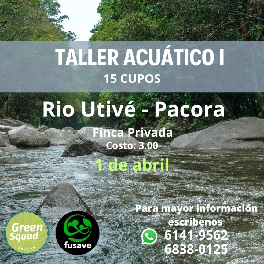 sanjosefusave's tweet photo. Taller de acuático. Es bueno saver nadar .Nadando salvara vidas #talleracuatico #rioutive #fusaveenaccion #Pacora https://t.co/KqGUV8J9Ke