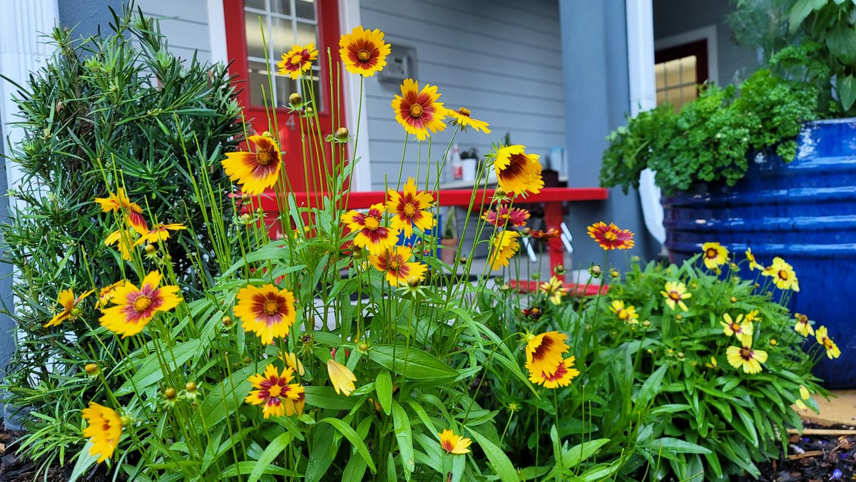 🐞 🌷The flowers are blooming and bugs are buzzing! Who else loves exploring nature in the springtime? Share your favorite outdoor activity at MMS with #SpringtimeAdventures! 
#GardeningTips #PlantLove  #GreenThumbMMS