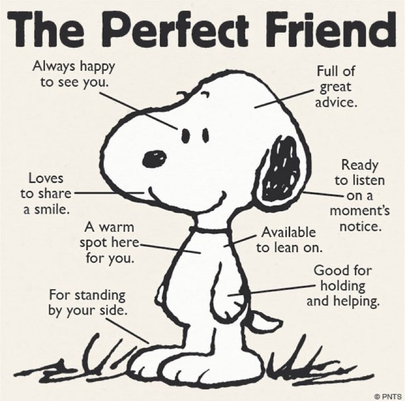 credenzaclear2's tweet photo. your last selfie is who you are on the outside and your last meme is who you are on the inside https://t.co/k9SEPvzQHo