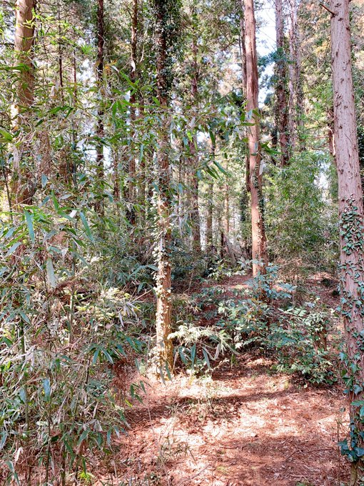 Twitterのコスプレ画像3