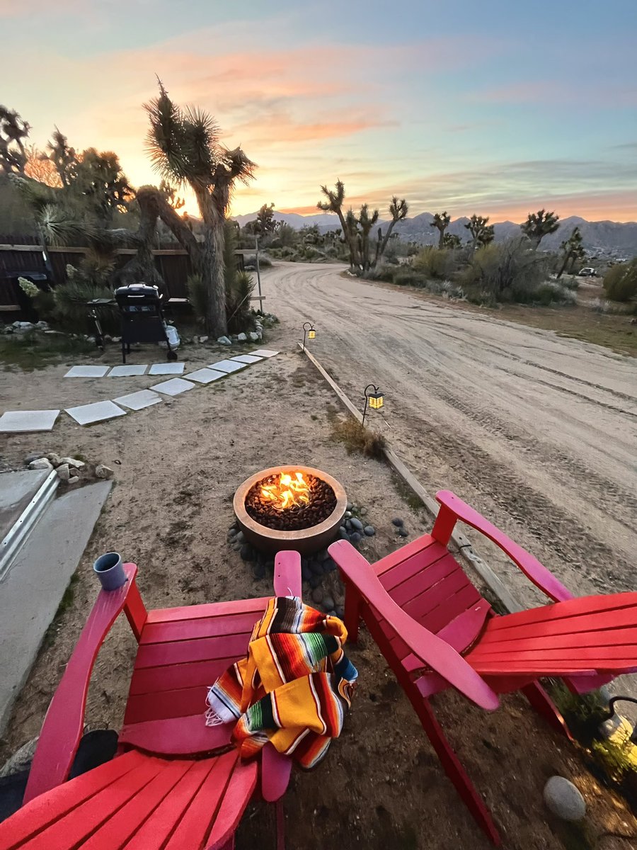 Brooke Haller tweet media