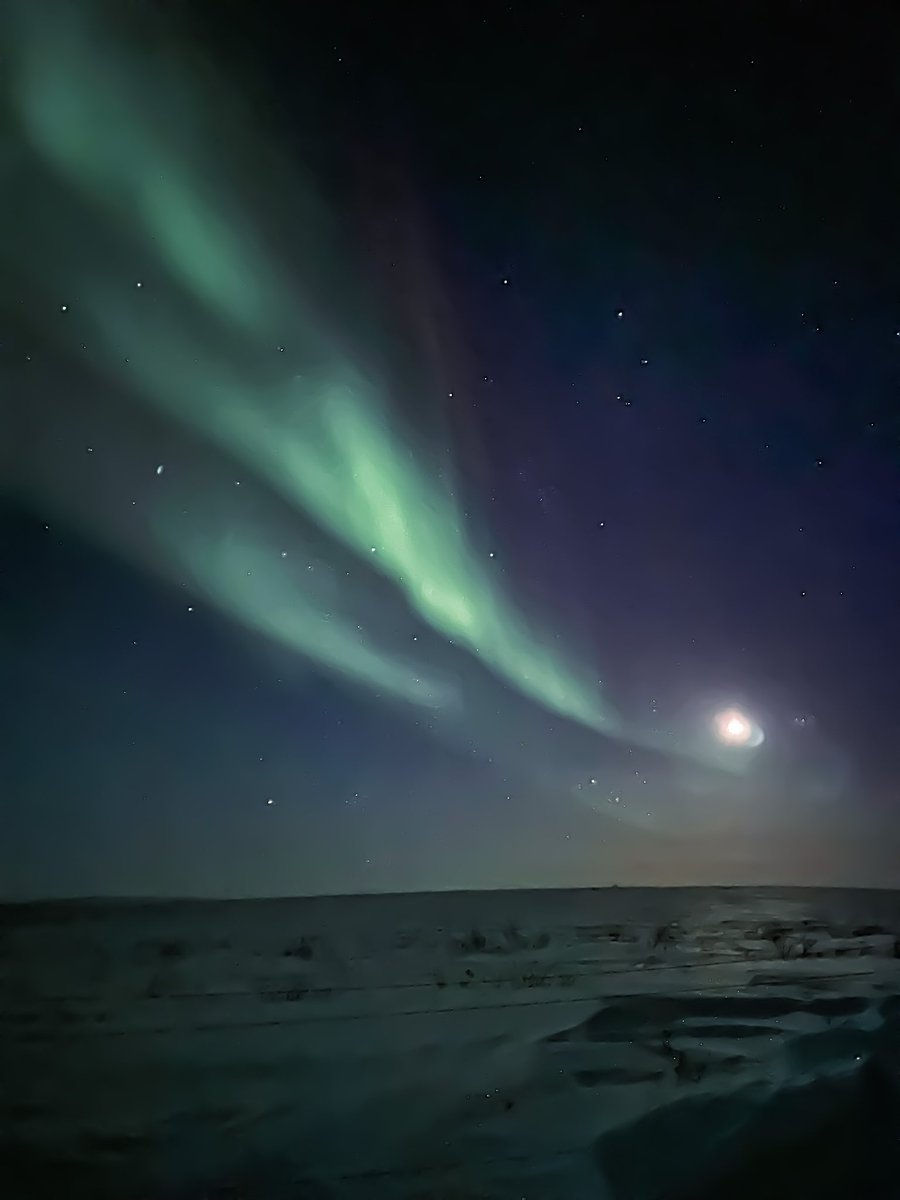 JohnnyR_NU's tweet image. Views over camp last night 🌌