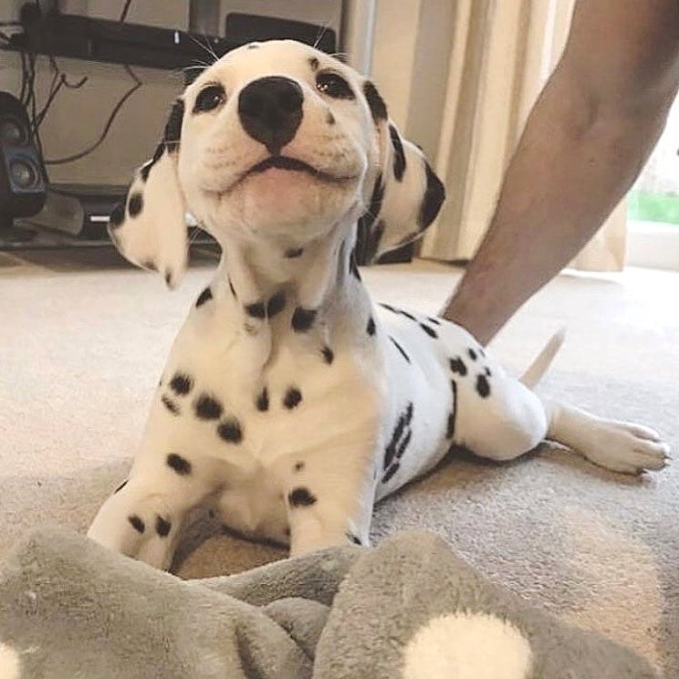 Si tuviste un mal día seguro esta sonrisa te alegra tu día!!!
