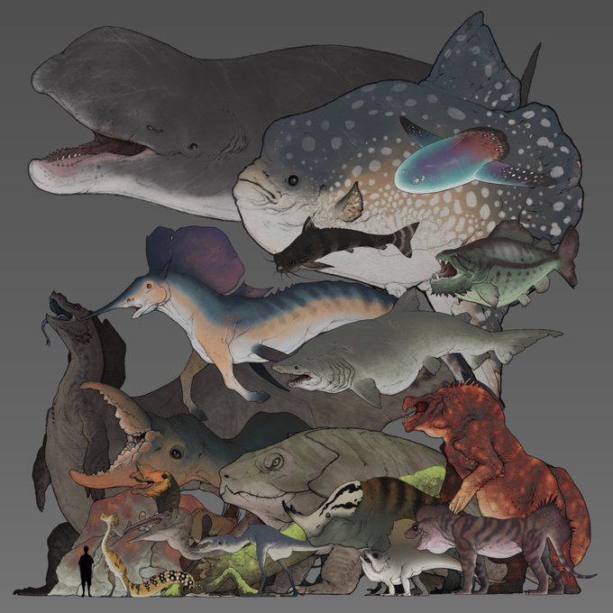 「dinosaur fish」 illustration images(Latest)