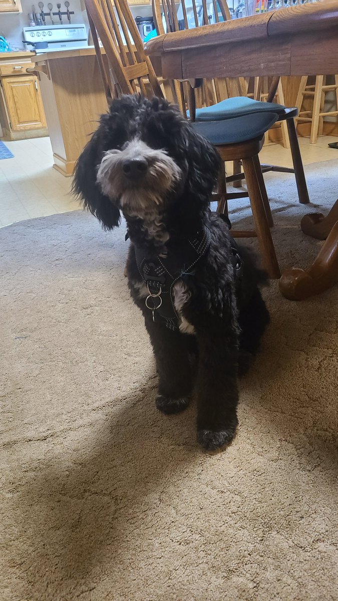 Can you help me out?

I have a bet with my coworker. 
Help me get to 250 followers by the end of my birthday month, April!

Picture for attention, not my coworker. 😜

#winbet #coworkers #helpme
#followers