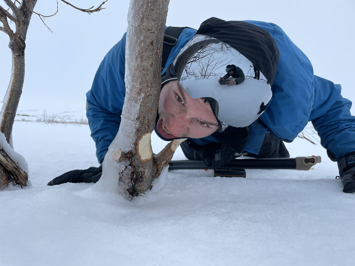 Awesome first day of tundra beaver fieldwork! @vszavoico