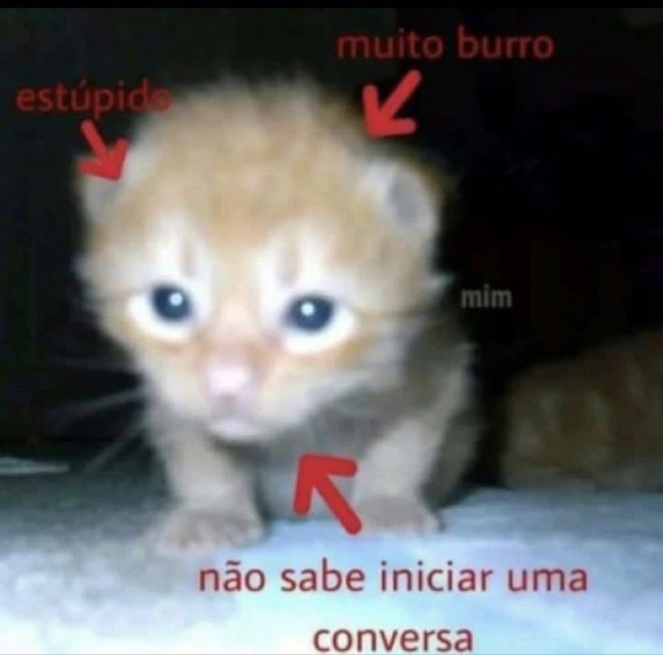 orianna. (@patinhasujas) on Twitter photo 