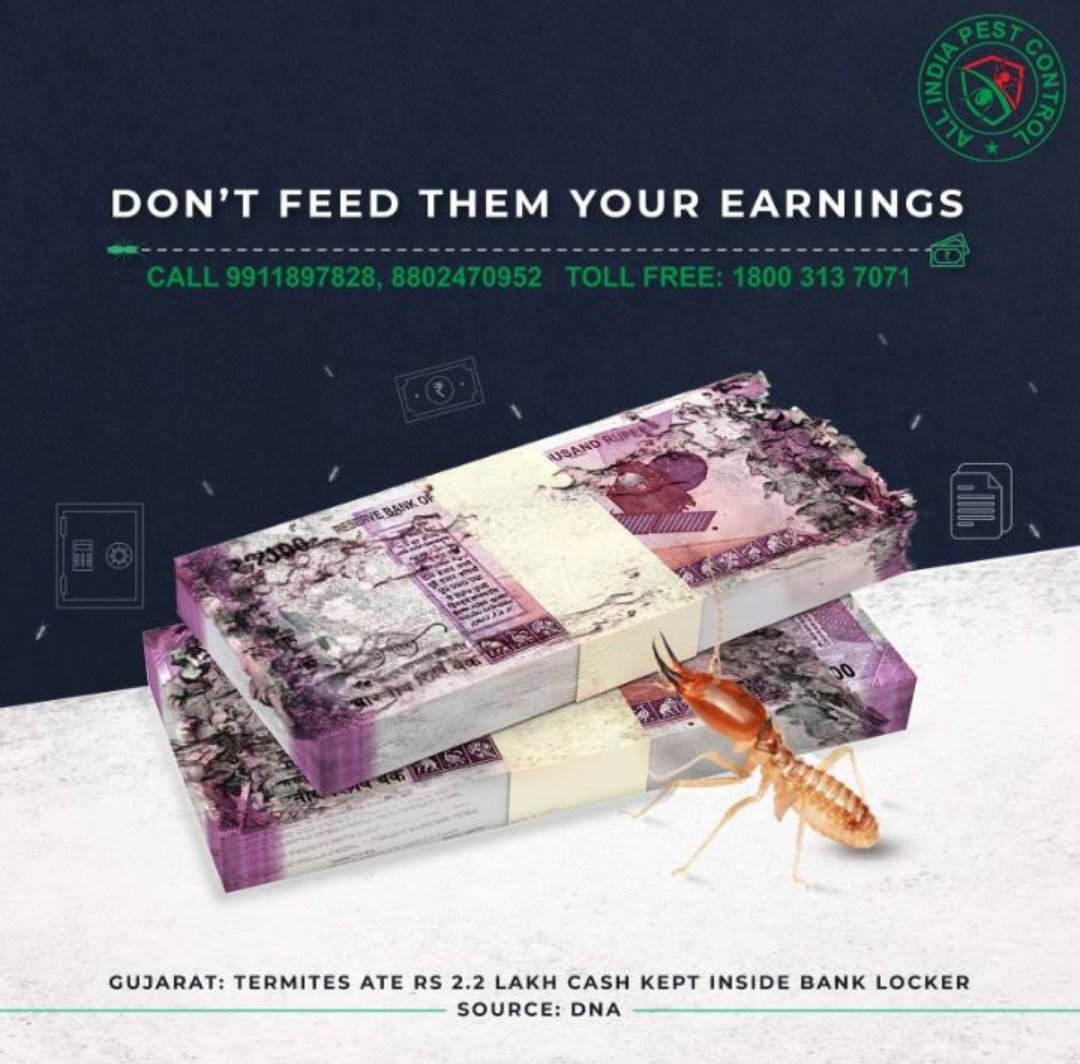 allindiapest's tweet photo. "Termites are no match for All India Pest Control's experienced and skilled professionals."

#pest #pesto #pestcontrol #pestcontrolservice #pestmanagement #bedbugs #termitecontrol #exterminator #pests #termites #cockroaches #MosquitoControl #ants #mosquitoes #vermincontrol https://t.co/UE6xOsD1SY
