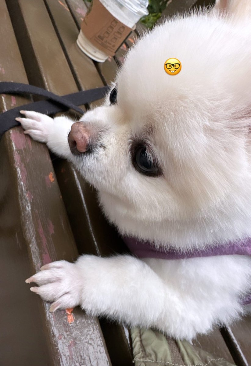 YoungMi1608's tweet photo. At the office.... me rn
#tulaley https://t.co/LlK3LS0oCd