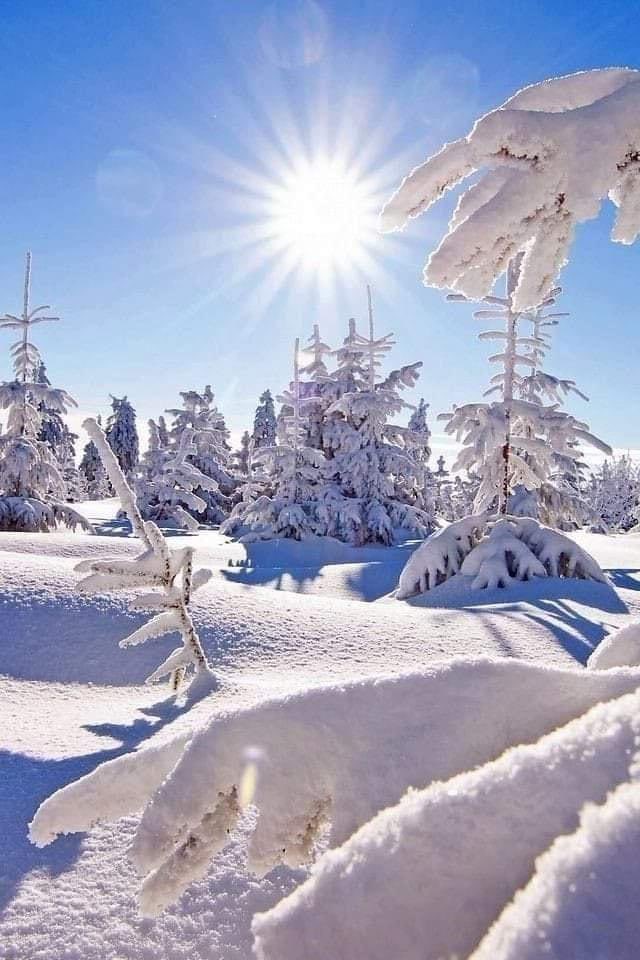 TRAdams8's tweet photo. #rysswcc Beautiful Peaceful Nature 💙
👉#NaturalbeautyoftheEarth https://t.co/glzogkVHxV