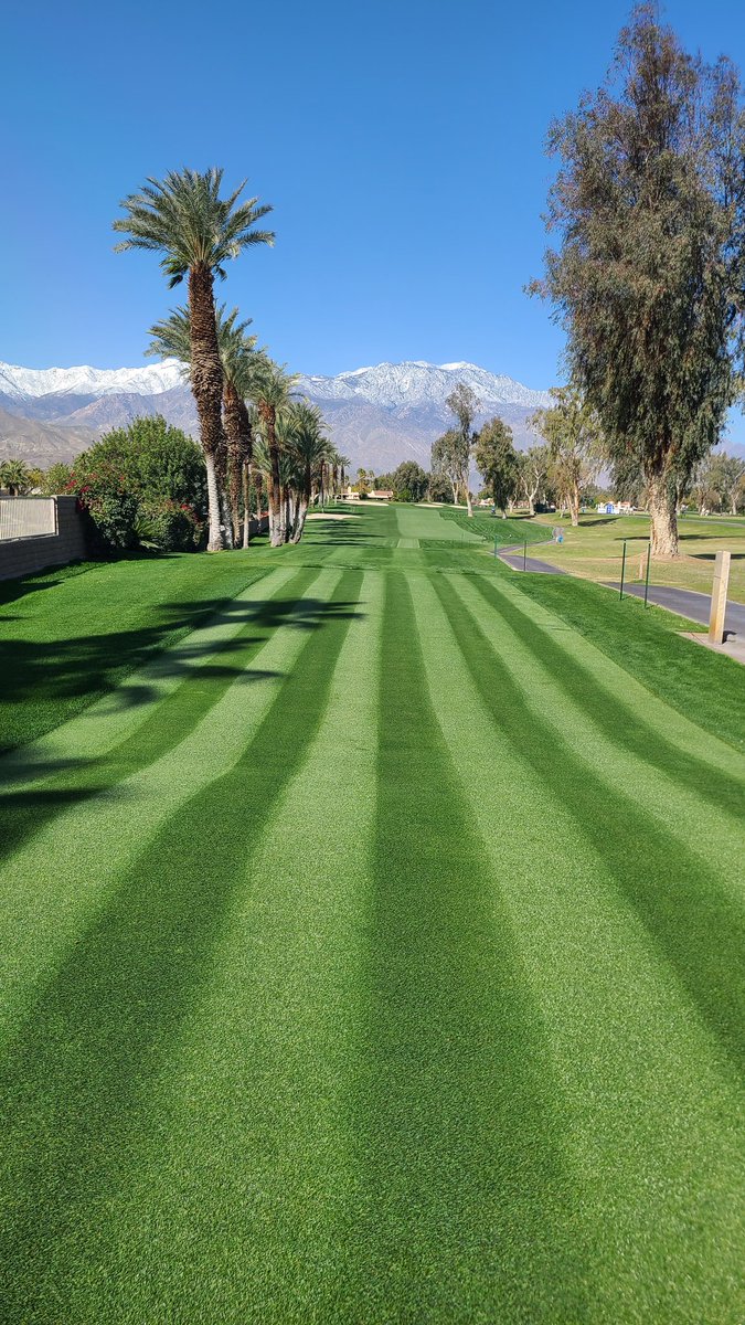 bsuns's tweet photo. Had a fun few days as a Marshall at 14 green for the #gallericlassic PGA Champions Tour event @MissionHillsCC1 . Even the Pros aren't perfect!. Only about 20 birdies out of 232 attempts, and 17 balls in the water.  New favorite? Qualifier #HarryRudolphIII ! https://t.co/gX6hx9MuIM