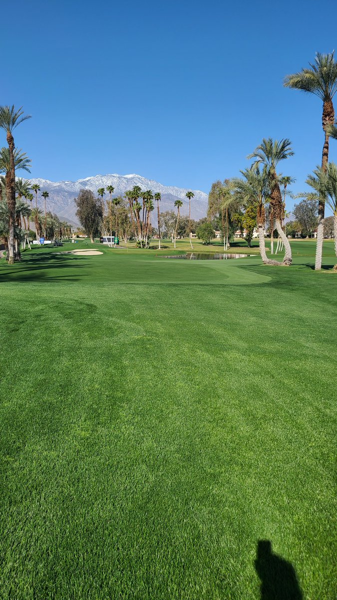 bsuns's tweet photo. Had a fun few days as a Marshall at 14 green for the #gallericlassic PGA Champions Tour event @MissionHillsCC1 . Even the Pros aren't perfect!. Only about 20 birdies out of 232 attempts, and 17 balls in the water.  New favorite? Qualifier #HarryRudolphIII ! https://t.co/gX6hx9MuIM