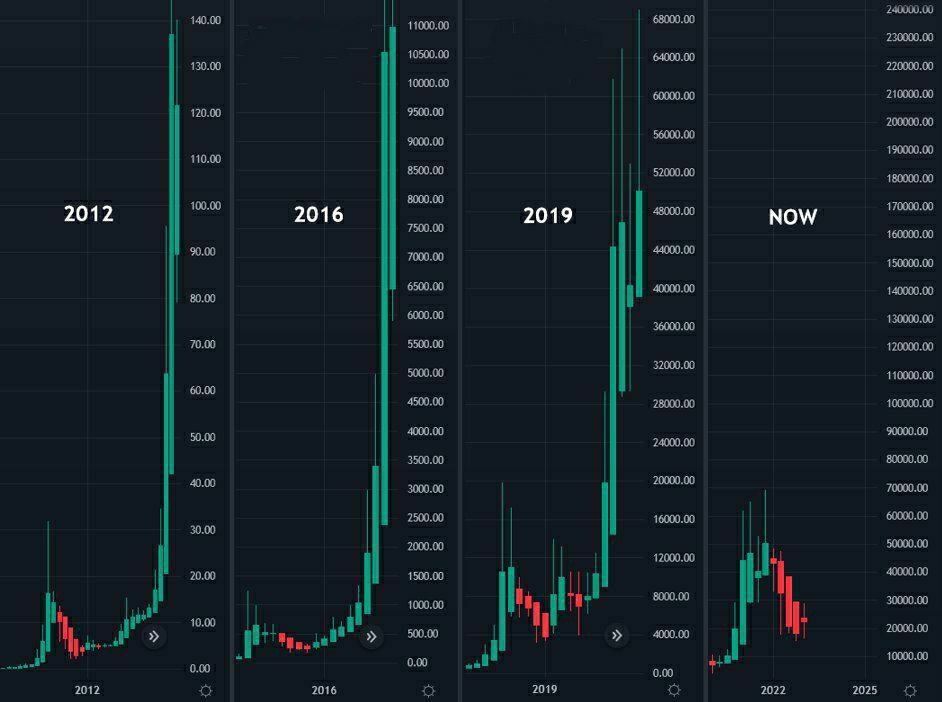 wiseadvicesumit's tweet photo. Will #BTC repeat the history? 🚀🤑

#Bitcoin #Crypto https://t.co/7JZ5Si8owv