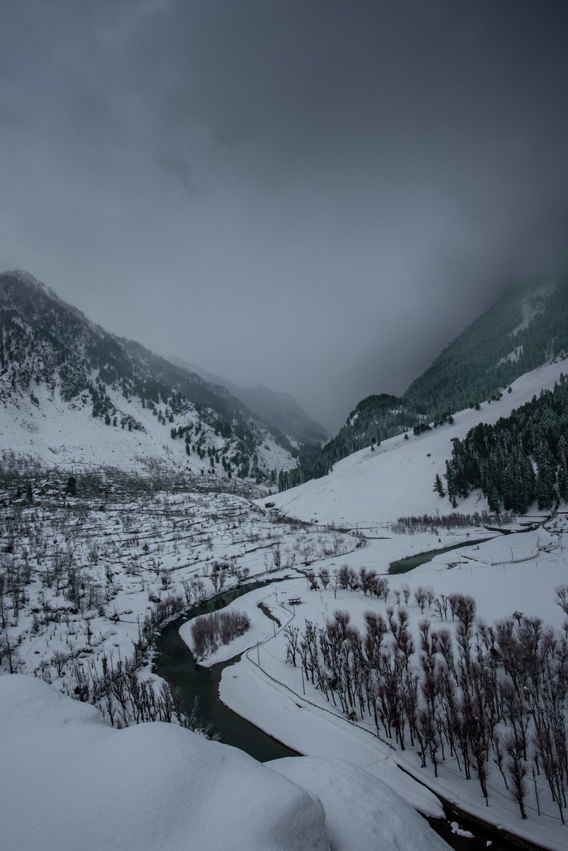 ratnadwip.eth tweet media