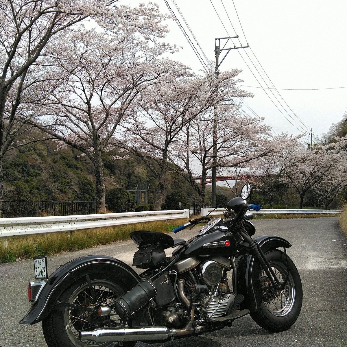 69jittan's tweet photo. 2日間雨。
ようやく乗れました。
朝はなかなかエンジンかからず...
桜も綺麗にさいてる。
春は暖かくて走りやすい。
#HarleyDavidson
#1948FLPANHEAD
#PANHEAD
#FL48
#EightySeven
#FL48PANHEAD https://t.co/sfr1iekhZ1