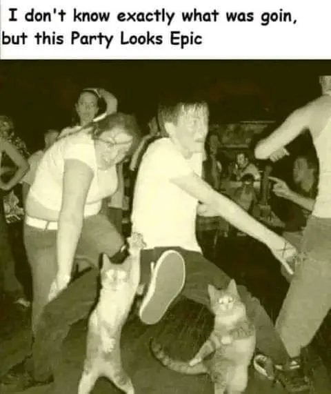 WholesomeMemes tweet media