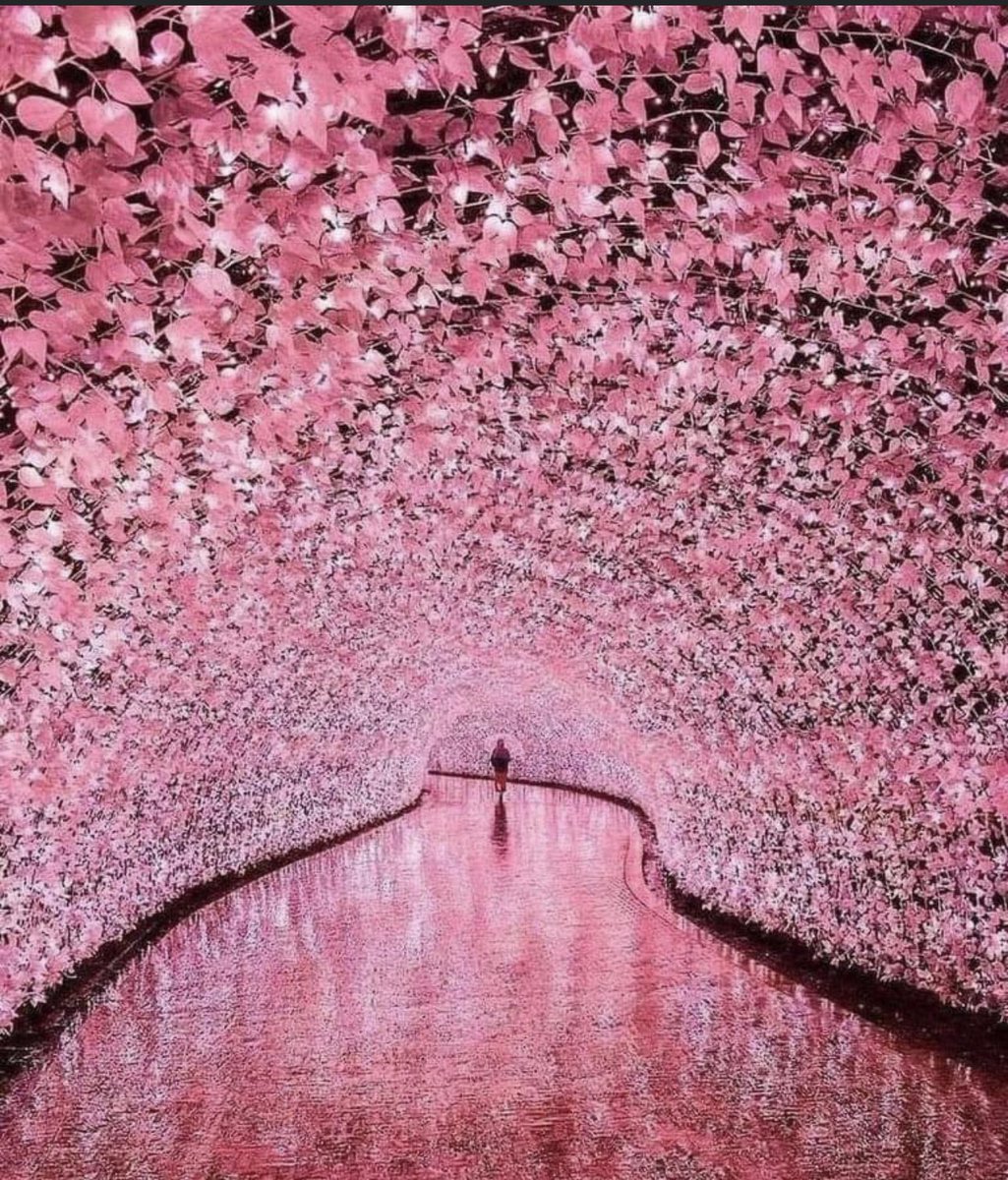 ChongyanmMa's tweet photo. Art and landscape are intertwined in a complex relationship. Whether through the lens of a painting or the design of a garden or nature creatures, artists continue to explore and celebrate the beauty of the natural world. @artsageingntu; #artevaluation; #AG6309Wk5AY22T3 https://t.co/x9G6Bi2LWz